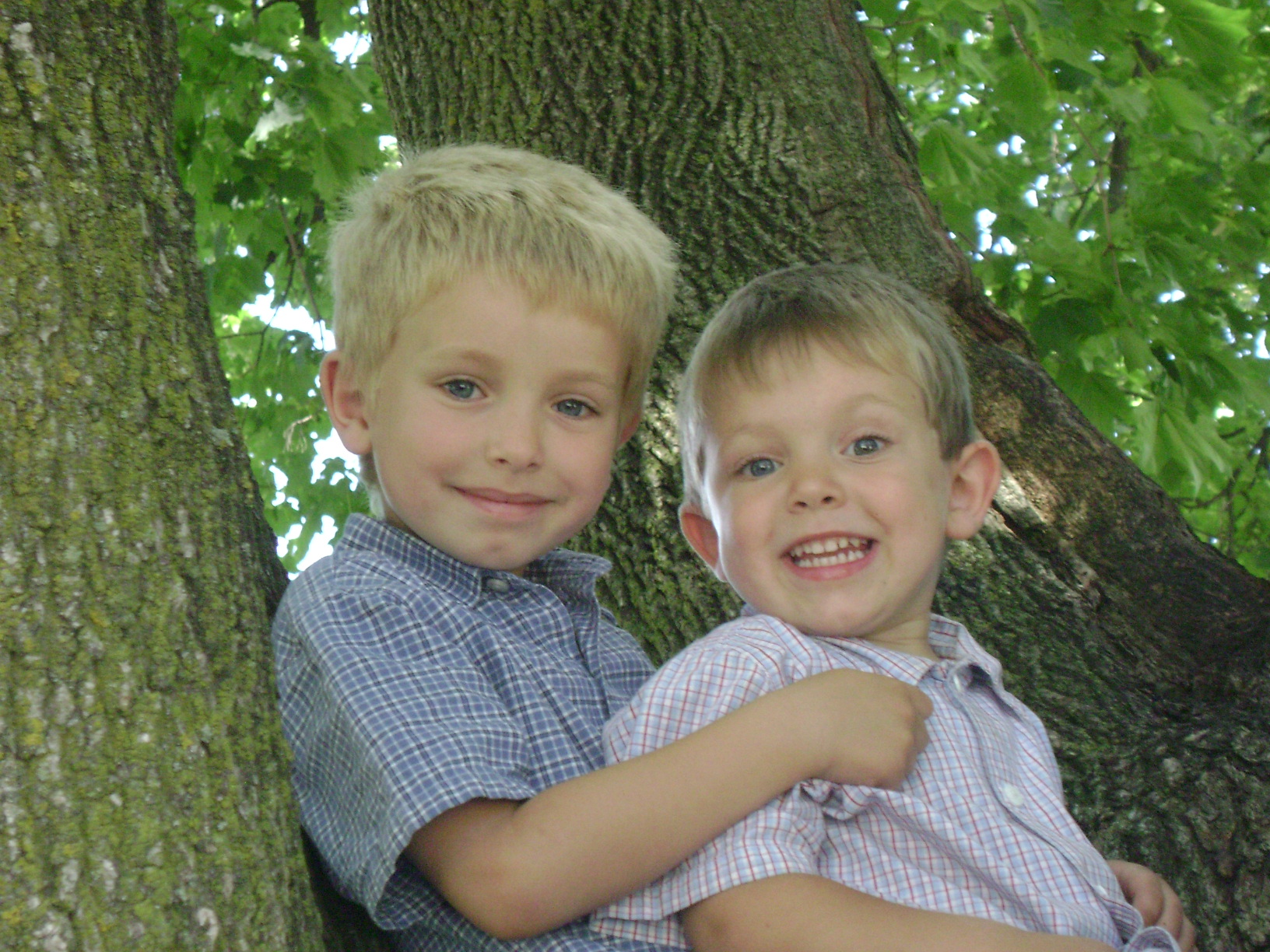 Nate and Simon up in a tree